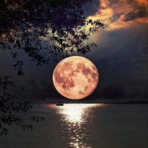 Meet your Posher, Jean